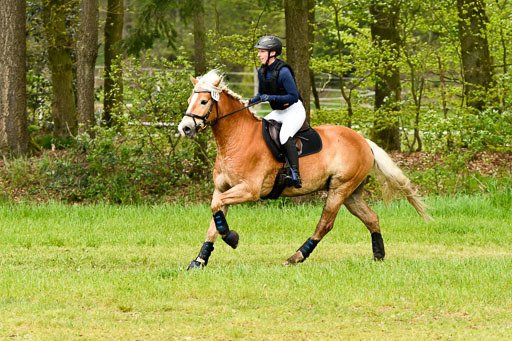 Berge   6+7.5.23 | Stil Gelände E_248 