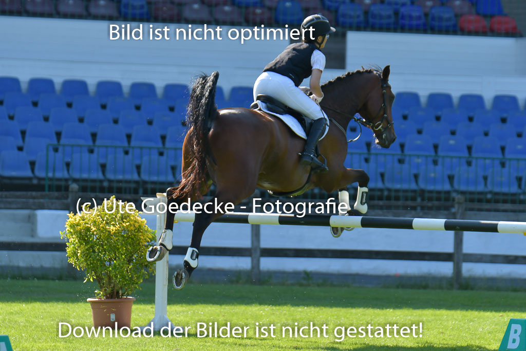 Derbypark HH Klein Flottbek | 100623 Derby Pacour L_088 