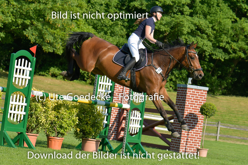 Derbypark HH Klein Flottbek | 100623 Derby Pacour L_136 