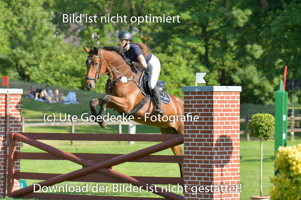 Derbypark HH Klein Flottbek | 100623 Derby Pacour L_137 