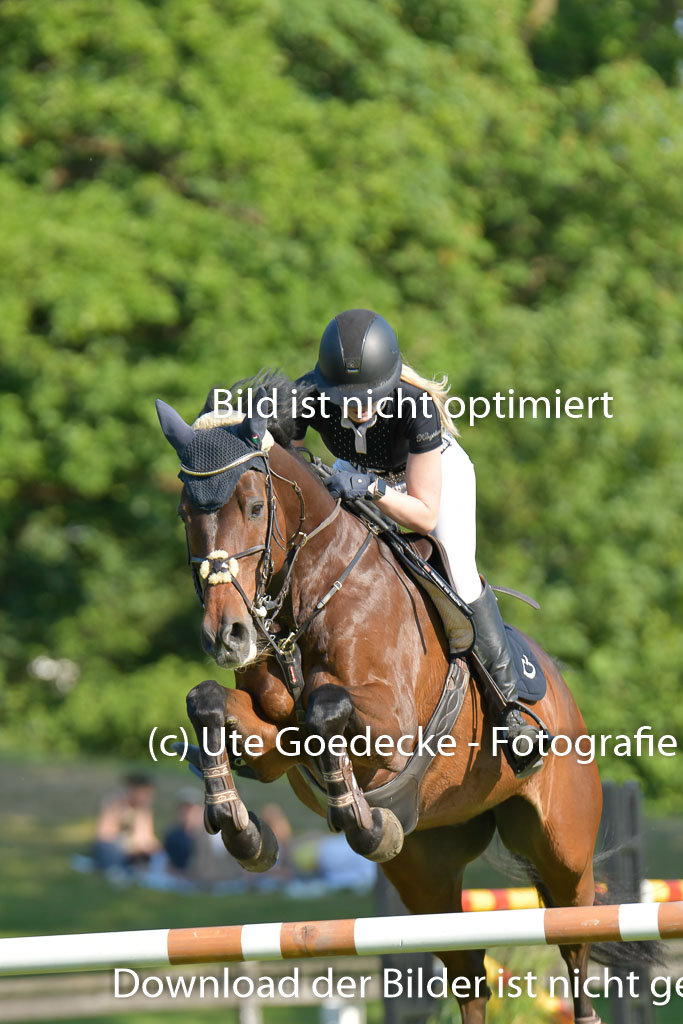 Derbypark HH Klein Flottbek | 100623 Derby Pacour L_151 