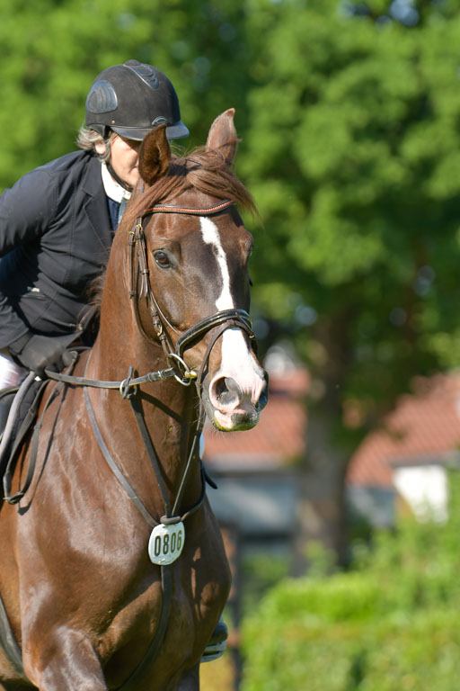 Derbypark HH Klein Flottbek | 100623 Derby Pacour L_127 