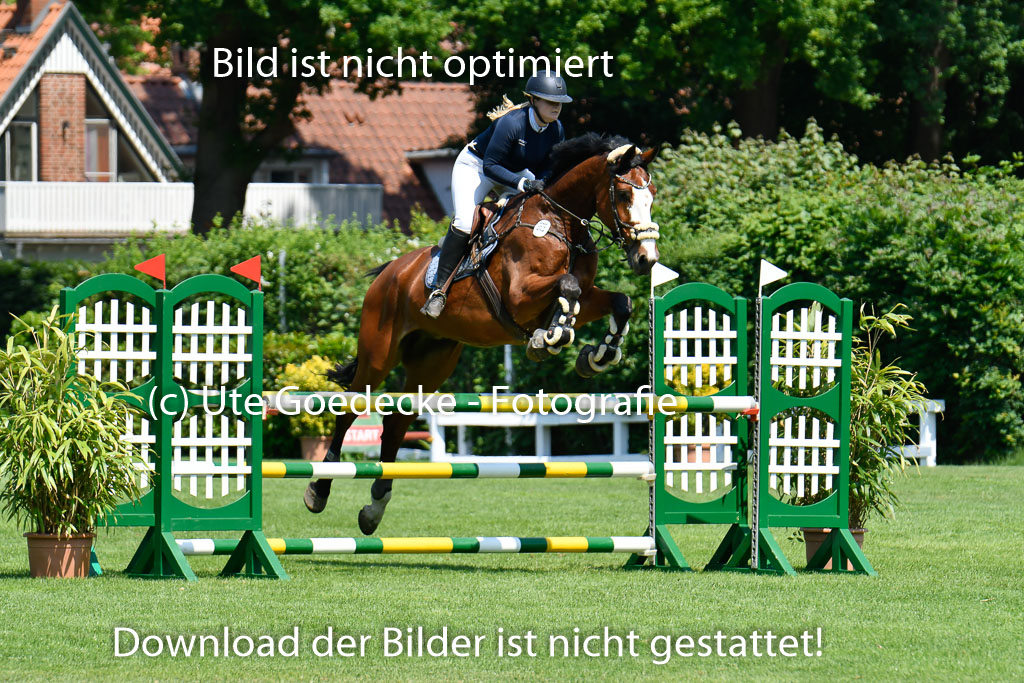 DERBYPARH HH KLEIN FLOTTBEK - Amateurturnier | 100623 L-Springen _023