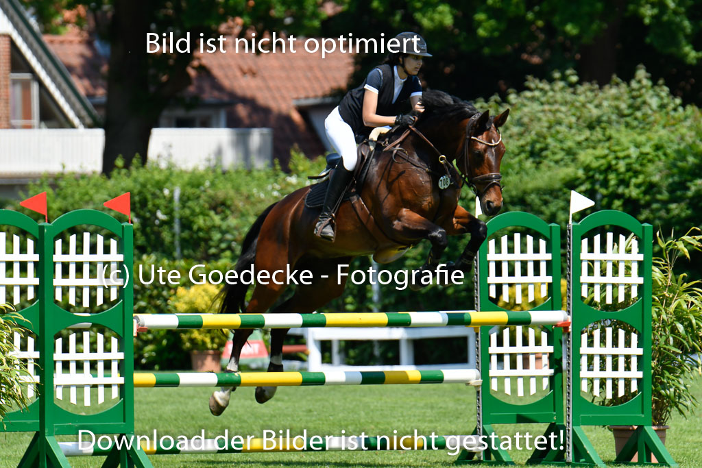DERBYPARH HH KLEIN FLOTTBEK - Amateurturnier | 100623 L-Springen _040