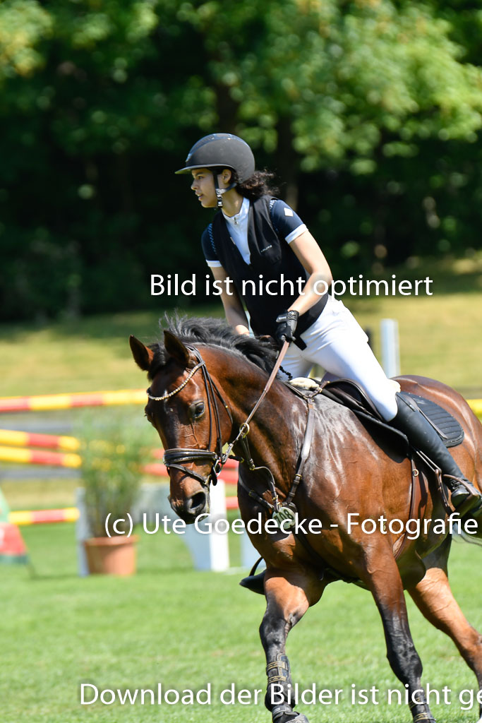 DERBYPARH HH KLEIN FLOTTBEK - Amateurturnier | 100623 L-Springen _045
