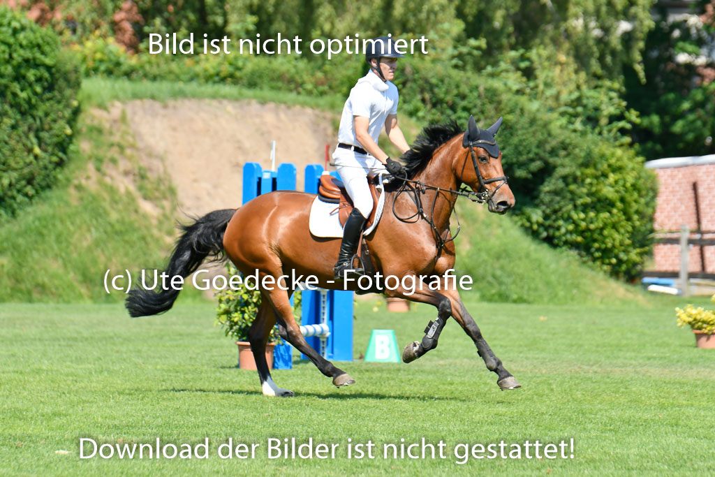 DERBYPARH HH KLEIN FLOTTBEK - Amateurturnier | 100623 L-Springen _206