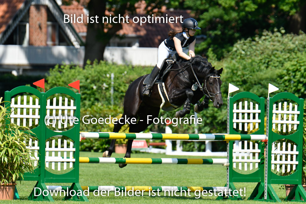 DERBYPARH HH KLEIN FLOTTBEK - Amateurturnier | 100623 L-Springen _212