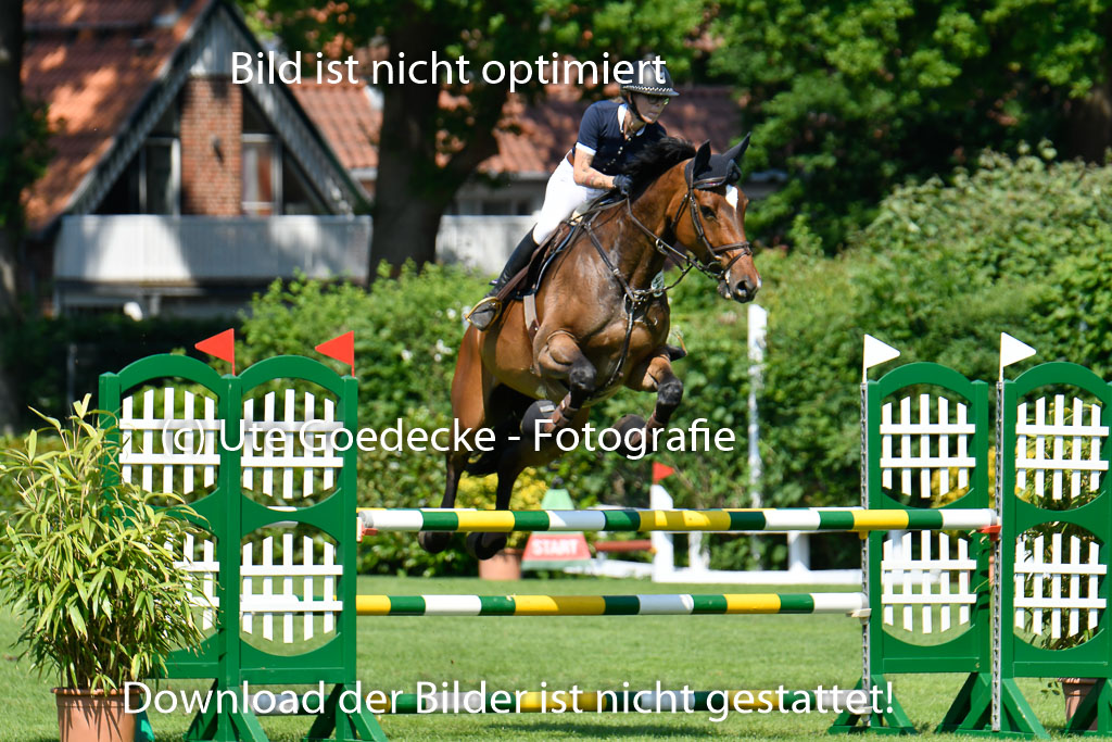 DERBYPARH HH KLEIN FLOTTBEK - Amateurturnier | 100623 L-Springen _217