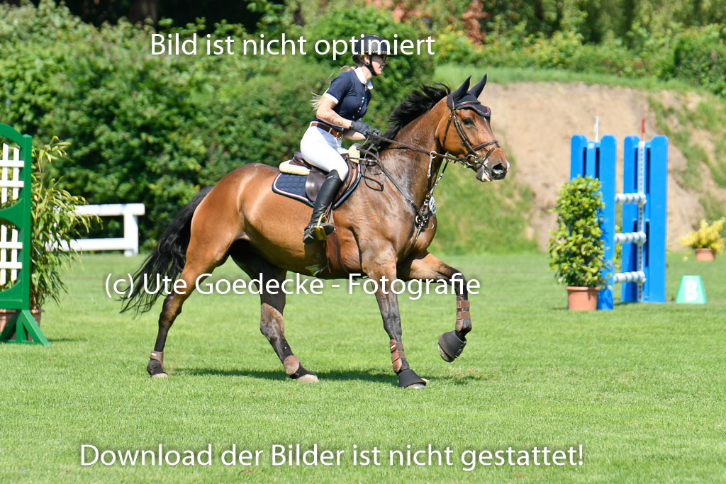 DERBYPARH HH KLEIN FLOTTBEK - Amateurturnier | 100623 L-Springen _218