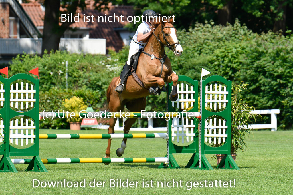 DERBYPARH HH KLEIN FLOTTBEK - Amateurturnier | 100623 L-Springen _224