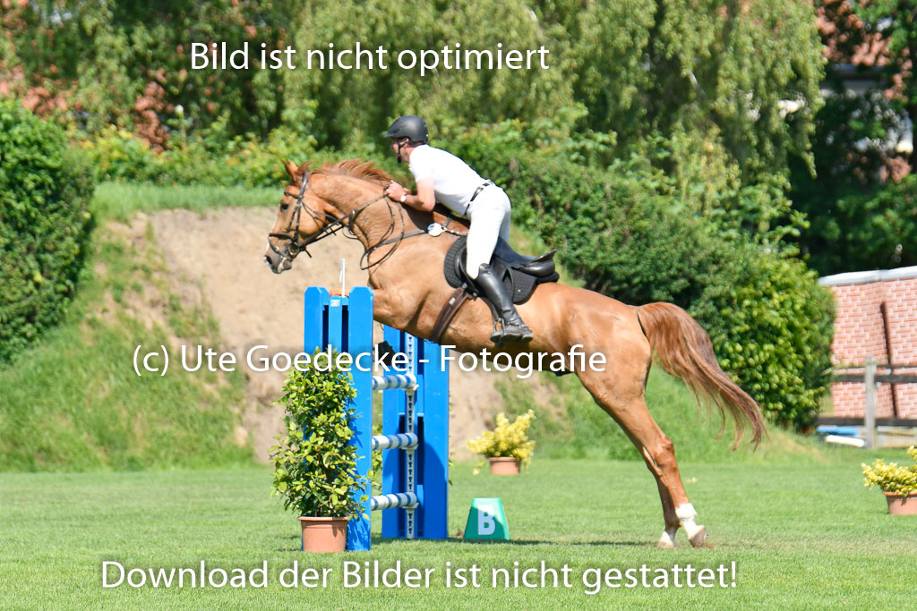 DERBYPARH HH KLEIN FLOTTBEK - Amateurturnier | 100623 L-Springen _226
