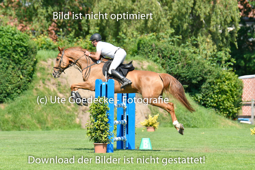 DERBYPARH HH KLEIN FLOTTBEK - Amateurturnier | 100623 L-Springen _227