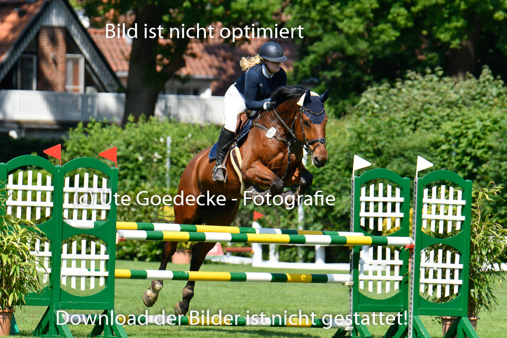 DERBYPARH HH KLEIN FLOTTBEK - Amateurturnier | 100623 L-Springen _233