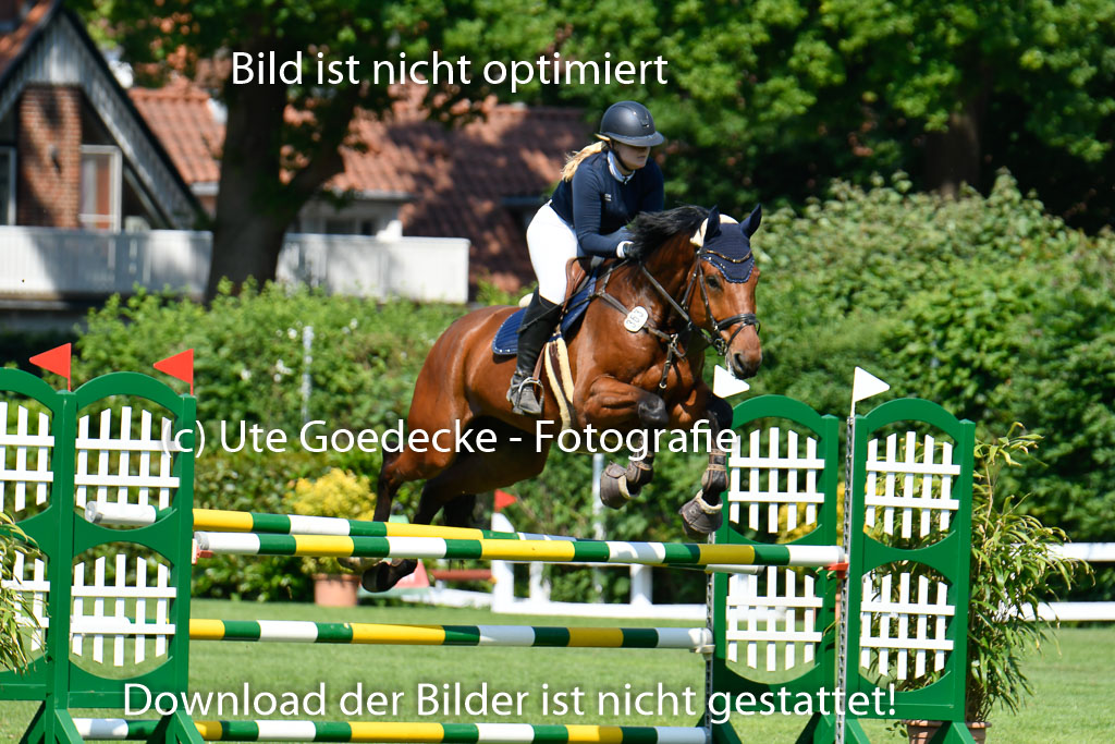 DERBYPARH HH KLEIN FLOTTBEK - Amateurturnier | 100623 L-Springen _234