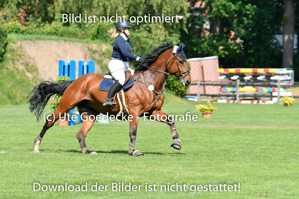 DERBYPARH HH KLEIN FLOTTBEK - Amateurturnier | 100623 L-Springen _236
