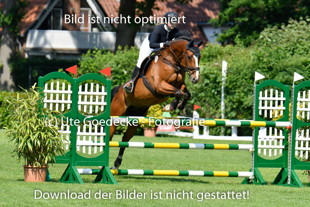 DERBYPARH HH KLEIN FLOTTBEK - Amateurturnier | 100623 L-Springen _239