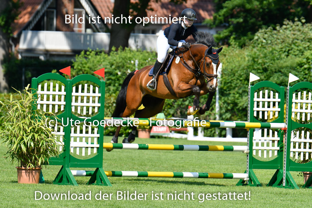 DERBYPARH HH KLEIN FLOTTBEK - Amateurturnier | 100623 L-Springen _240