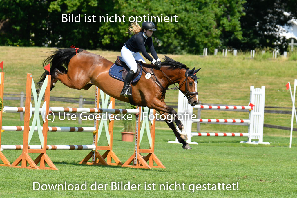 DERBYPARH HH KLEIN FLOTTBEK - Amateurturnier | 100623 L-Springen _243