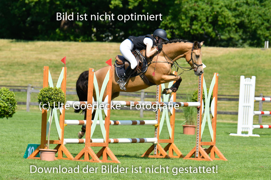 DERBYPARH HH KLEIN FLOTTBEK - Amateurturnier | 100623 L-Springen _248