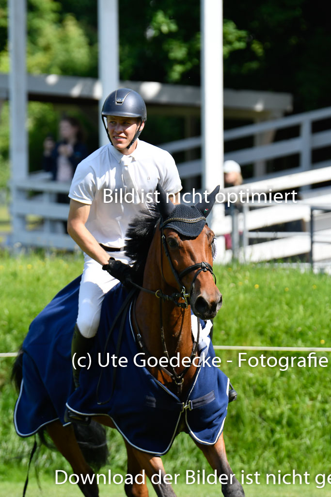 DERBYPARH HH KLEIN FLOTTBEK - Amateurturnier | 100623 L-Springen _254