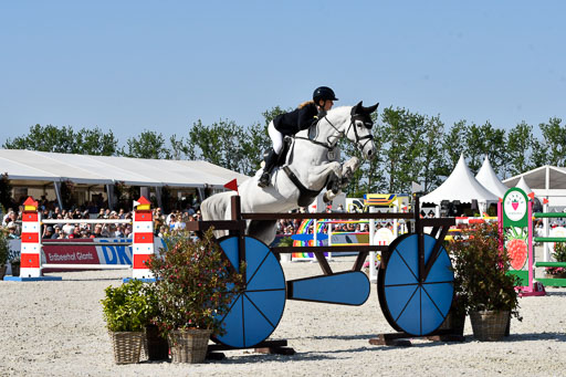 DKB Pferdewoche in Hohen Wieschendorf / Glantz Equestrian | 13052023 -  CSI4 _091 