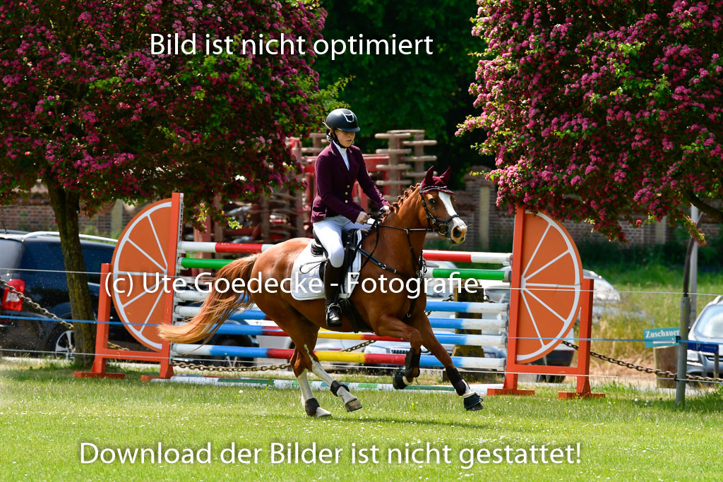 Goldene Schärpe Ponys in Hohen Luckow 1-4.6.23 | 00000026 Anna schwanbeck - so long 