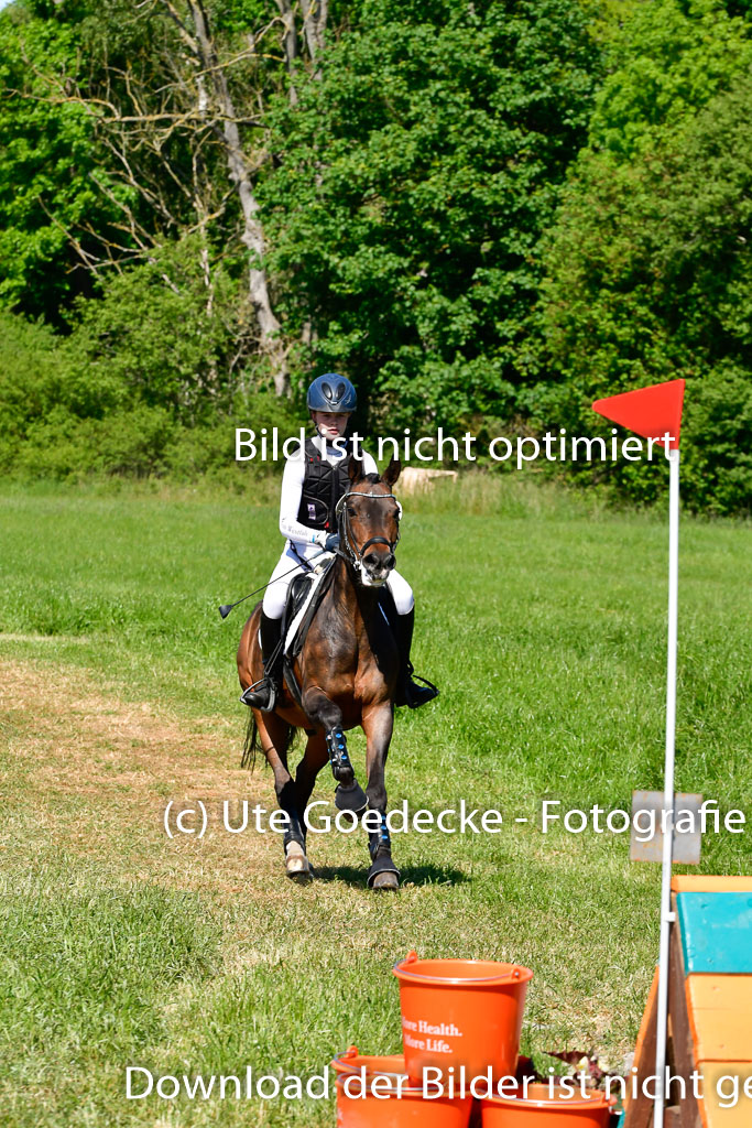 Goldene Schärpe Ponys in Hohen Luckow 1-4.6.23 | 04062023 - Carolin jankord - Mondeo 