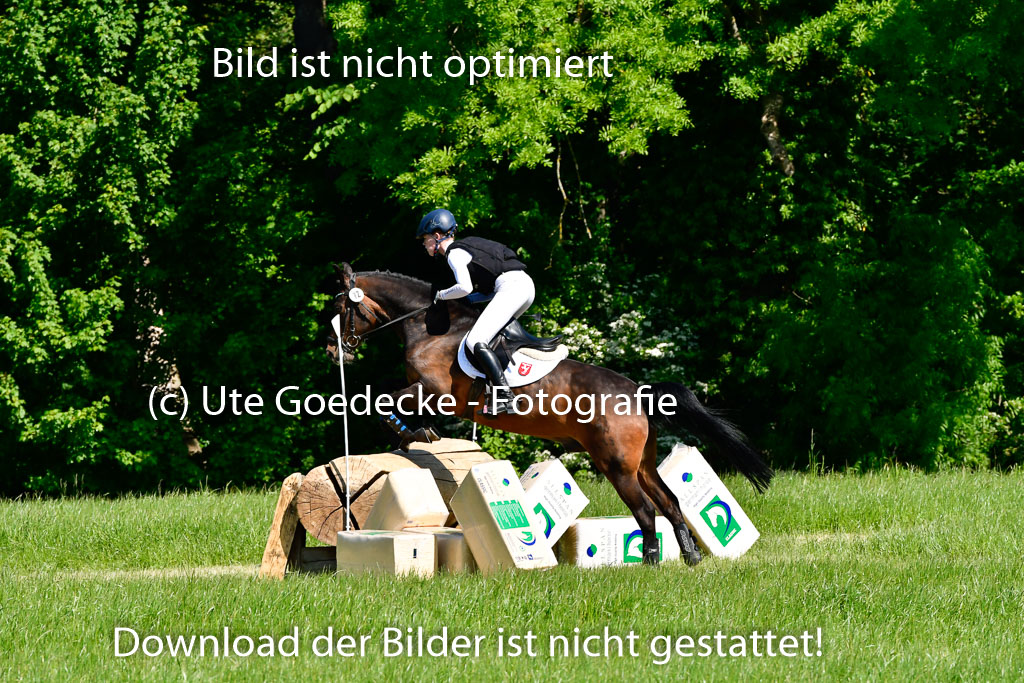 Goldene Schärpe Ponys in Hohen Luckow 1-4.6.23 | 04062023 - Carolin jankord - Mondeo_02 