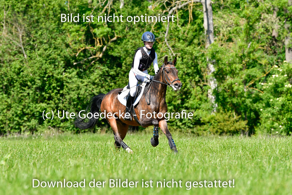 Goldene Schärpe Ponys in Hohen Luckow 1-4.6.23 | 04062023 - Carolin jankord - Mondeo_03 