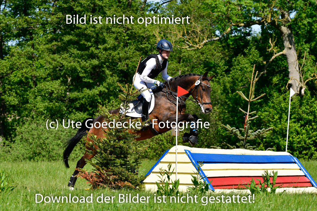 Goldene Schärpe Ponys in Hohen Luckow 1-4.6.23 | 04062023 - Carolin jankord - Mondeo_04 