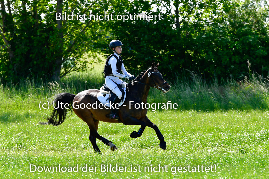 Goldene Schärpe Ponys in Hohen Luckow 1-4.6.23 | 04062023 - Carolin jankord - Mondeo_06 