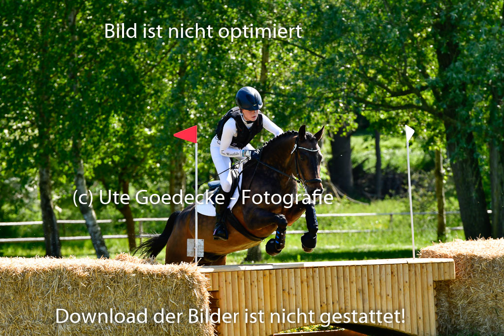 Goldene Schärpe Ponys in Hohen Luckow 1-4.6.23 | 04062023 - Carolin jankord - Mondeo_08 