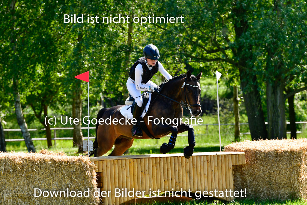 Goldene Schärpe Ponys in Hohen Luckow 1-4.6.23 | 04062023 - Carolin jankord - Mondeo_09