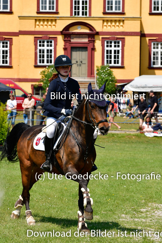 Goldene Schärpe Ponys in Hohen Luckow 1-4.6.23 | 04062023 - Carolin jankord - Mondeo_12 