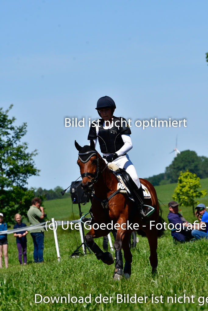 Goldene Schärpe Ponys in Hohen Luckow 1-4.6.23 | 04062023 - Colin Martin - Dante 