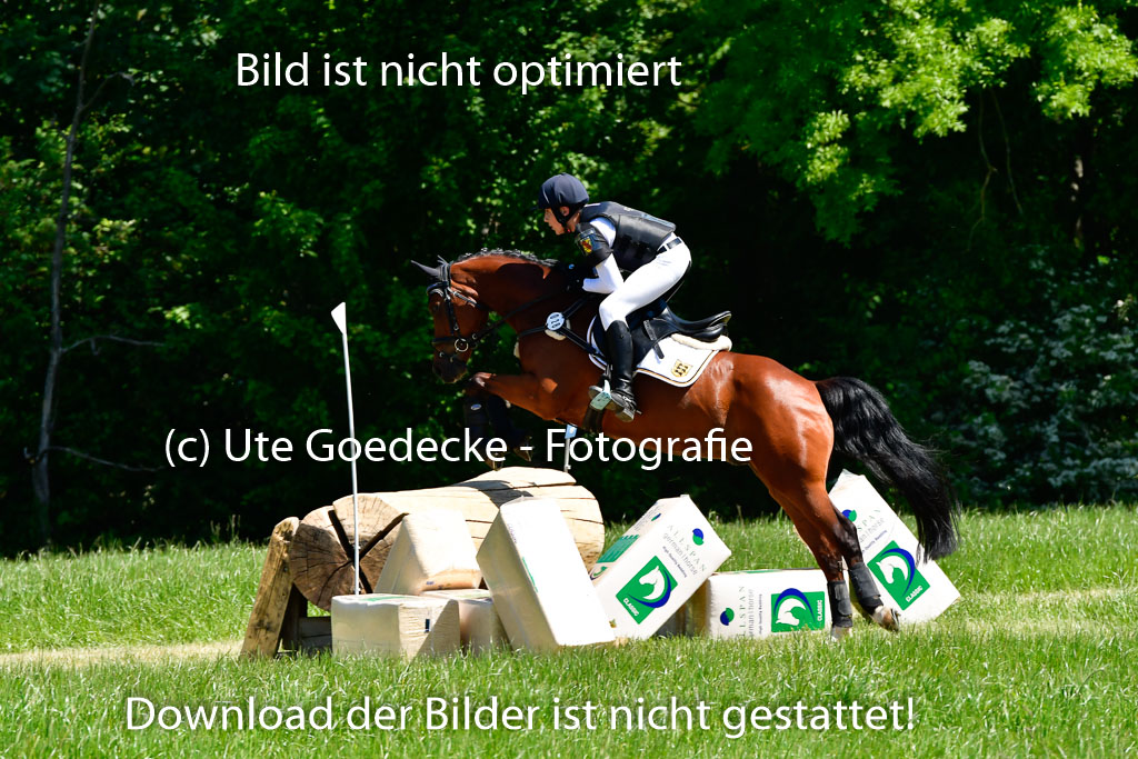 Goldene Schärpe Ponys in Hohen Luckow 1-4.6.23 | 04062023 - Colin Martin - Dante_04