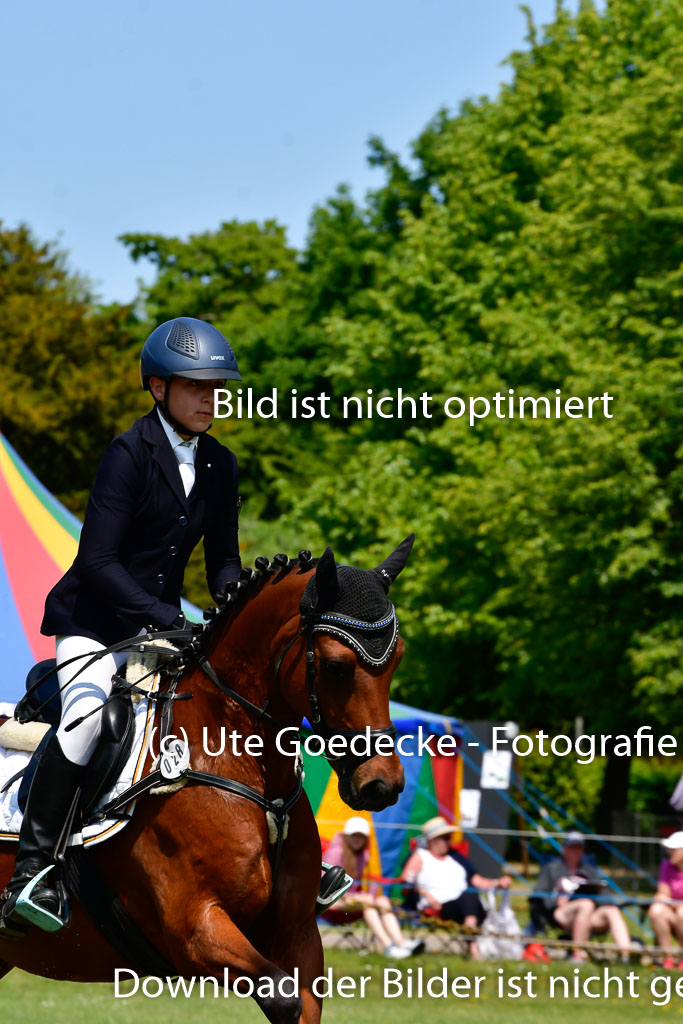 Goldene Schärpe Ponys in Hohen Luckow 1-4.6.23 | 04062023 - Colin Martin - Dante_07 