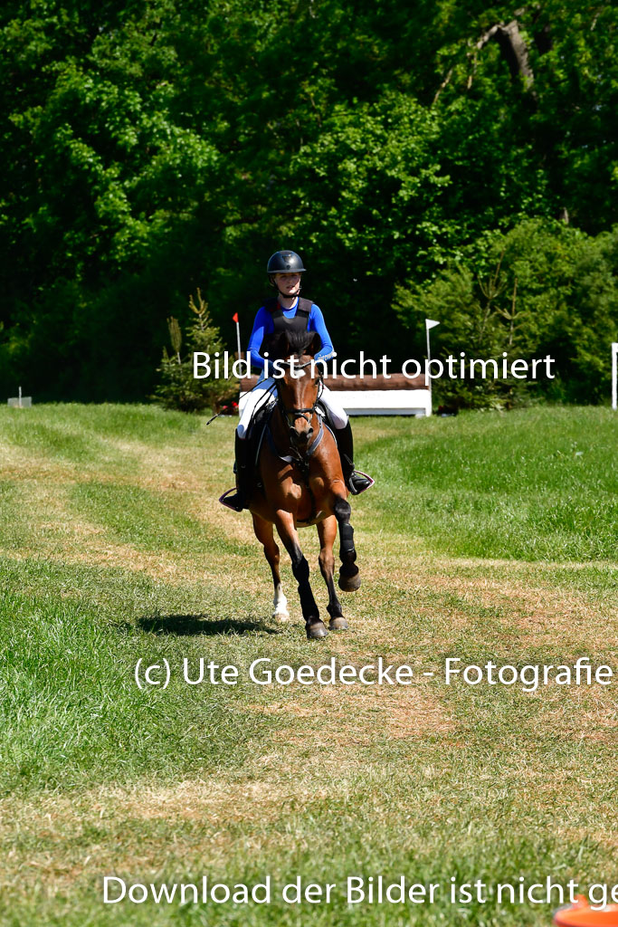 Goldene Schärpe Ponys in Hohen Luckow 1-4.6.23 | 04062023 - Jette C Sievbers - Streicher 