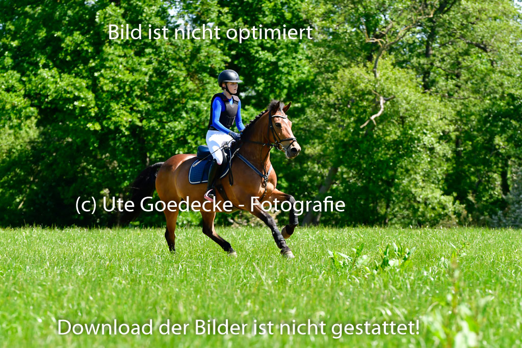 Goldene Schärpe Ponys in Hohen Luckow 1-4.6.23 | 04062023 - Jette C Sievbers - Streicher_07 