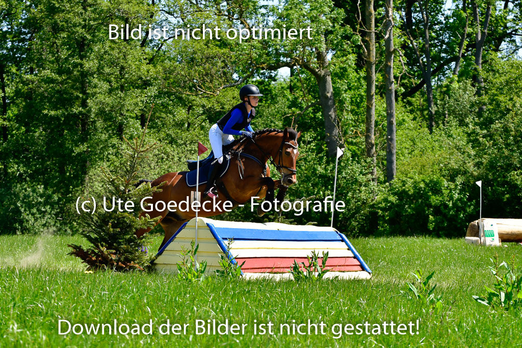 Goldene Schärpe Ponys in Hohen Luckow 1-4.6.23 | 04062023 - Jette C Sievbers - Streicher_08 