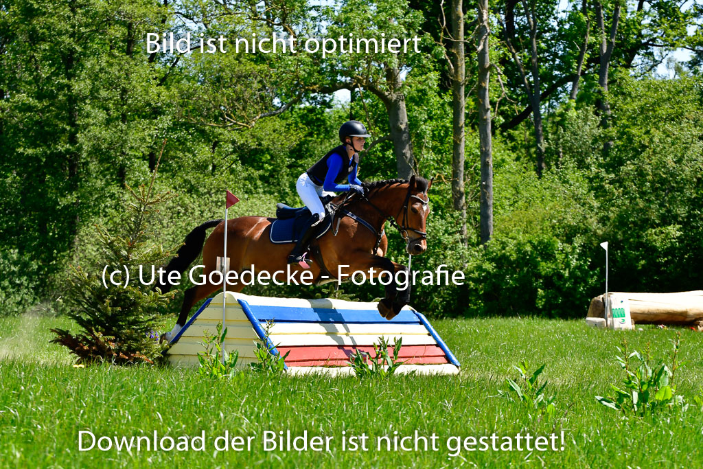 Goldene Schärpe Ponys in Hohen Luckow 1-4.6.23 | 04062023 - Jette C Sievbers - Streicher_09