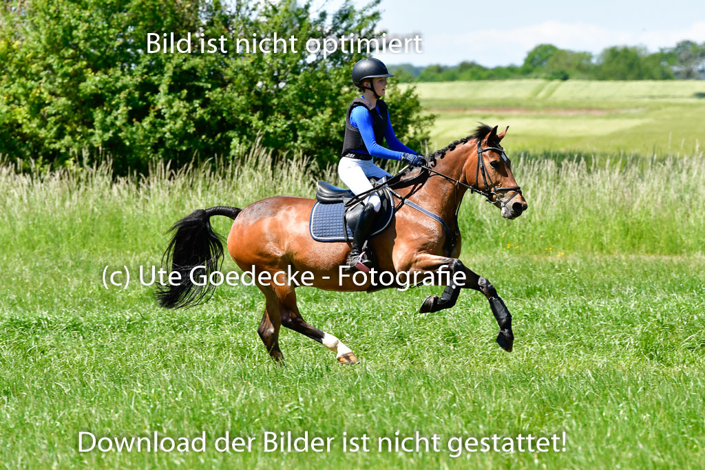 Goldene Schärpe Ponys in Hohen Luckow 1-4.6.23 | 04062023 - Jette C Sievbers - Streicher_10 