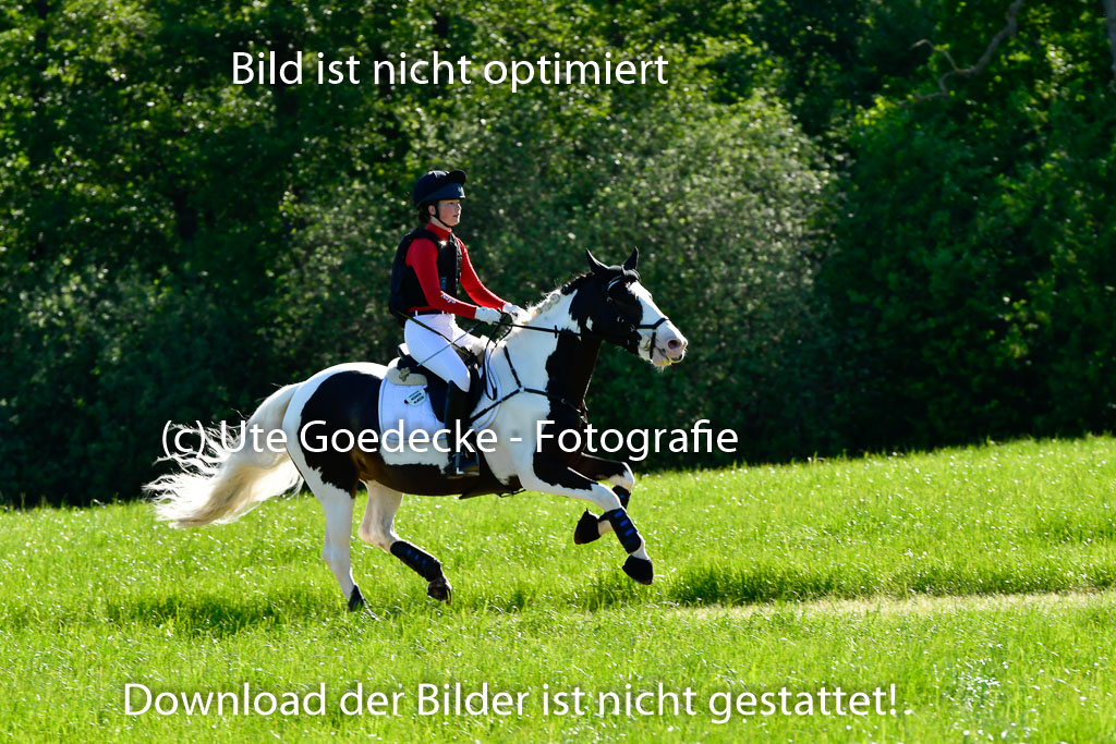 Goldene Schärpe Ponys in Hohen Luckow 1-4.6.23 | 04062023 - Naya Marx - Portland_04 