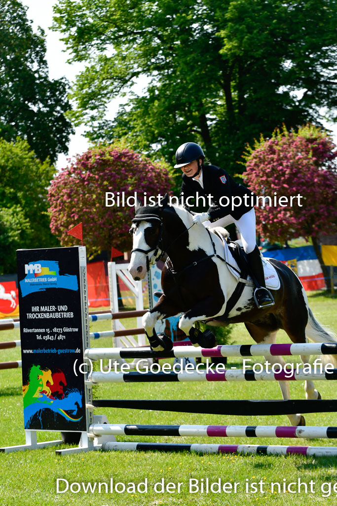 Goldene Schärpe Ponys in Hohen Luckow 1-4.6.23 | 04062023 - Naya Marx - Portland_26