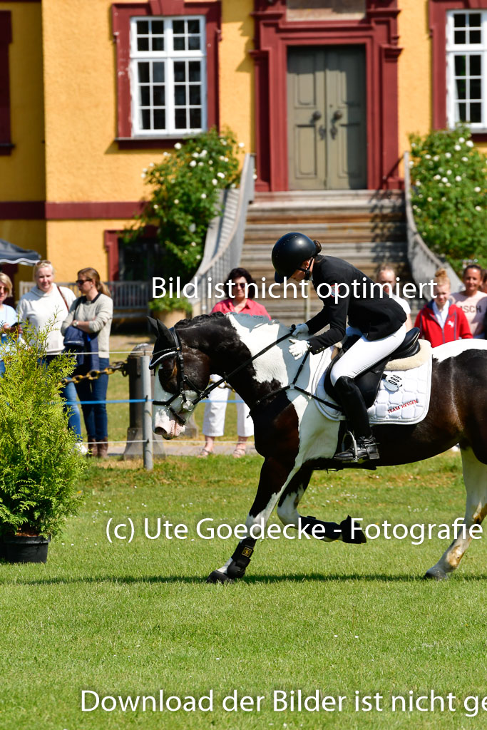 Goldene Schärpe Ponys in Hohen Luckow 1-4.6.23 | 04062023 - Naya Marx - Portland_27 