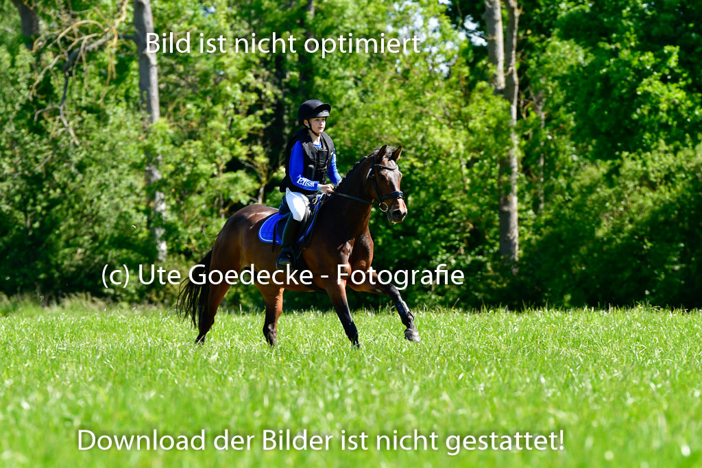 Goldene Schärpe Ponys in Hohen Luckow 1-4.6.23 | 04062023 -Elisa Wetzlar - Cleopatra_04 