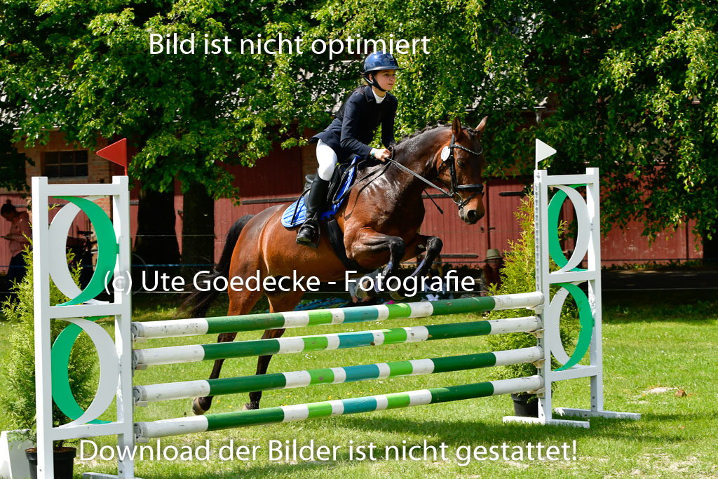 Goldene Schärpe Ponys in Hohen Luckow 1-4.6.23 | 04062023 -Elisa Wetzlar - Cleopatra_14 