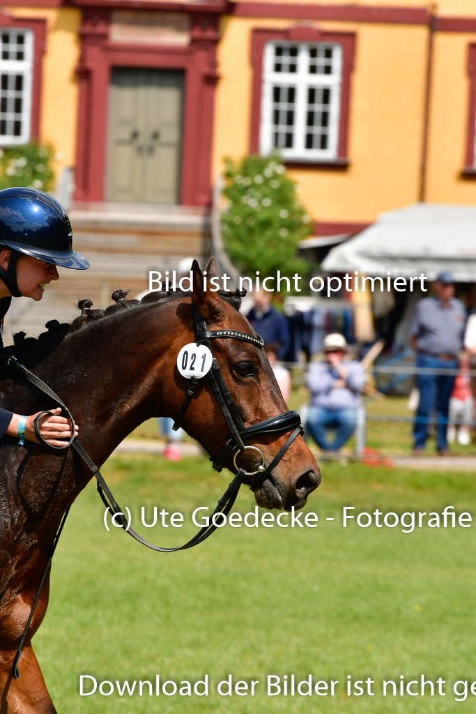 Goldene Schärpe Ponys in Hohen Luckow 1-4.6.23 | 04062023 -Elisa Wetzlar - Cleopatra_21 