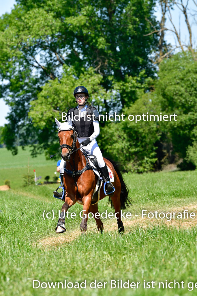 Goldene Schärpe Ponys in Hohen Luckow 1-4.6.23 | 04062023 Alicia Hebecke - Chilli Pepper