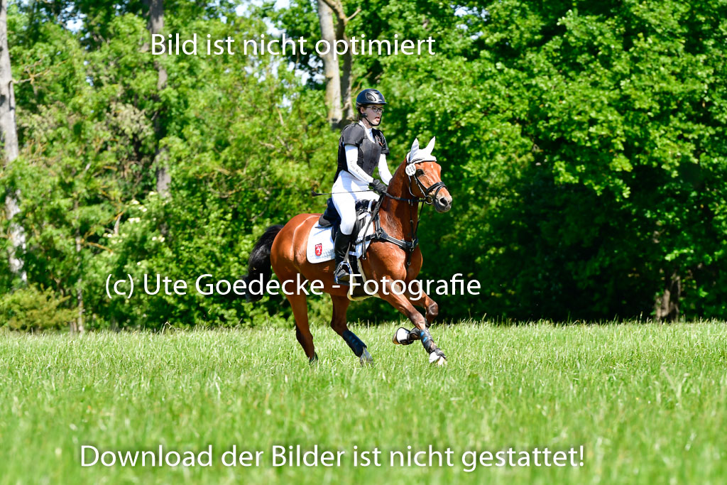 Goldene Schärpe Ponys in Hohen Luckow 1-4.6.23 | 04062023 Alicia Hebecke - Chilli Pepper_05 